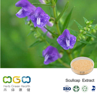 Scullcap Extract