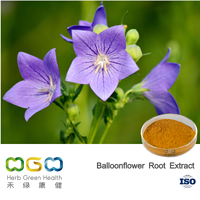 Balloonflower Root Extract