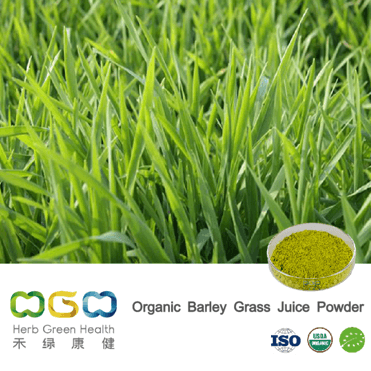 Organic Barley Grass Juice Powder