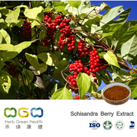 Schisandra Berry Extract