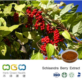 Schisandra Berry Extract