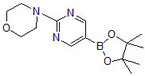 2-(4-morpholinolinyl)pyrimidine-5-boronic acid pinacol ester