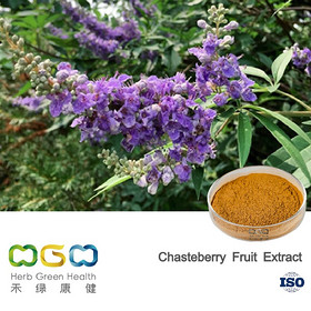 Chasteberry Fruit Extract