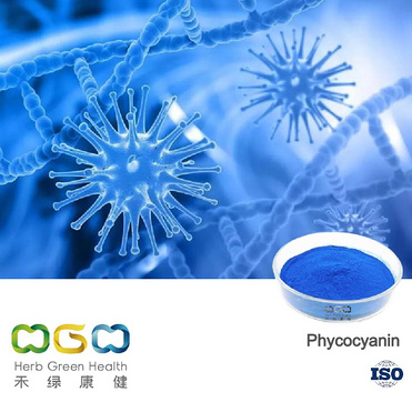 Phycocyanin (Blue Spirulina Extract)