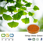 Ginkgo Biloba Extract