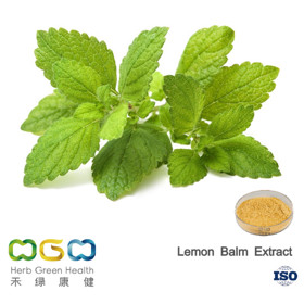 Lemon Balm Extract