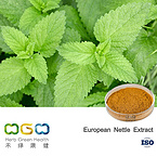 European Nettle Extract