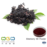 Elderberry SD Powder