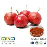 Hawthorn Extract