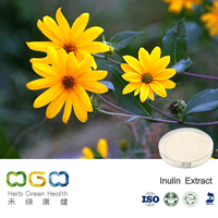 Inulin Extract