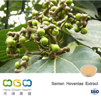 Semen Hoveniae Extract