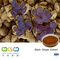 Black Ginger Extract