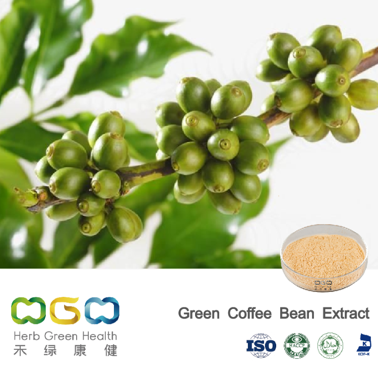 Green Coffee Bean Extract