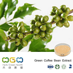 Green Coffee Bean Extract