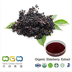 Organic Elderberry Extract