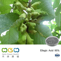 Ellagic Acid 95%