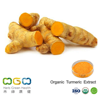 Organic Turmeric Extract