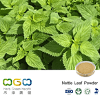 Nettle Leaf Powder