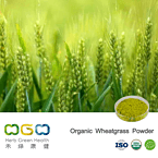 Organic Wheatgrass Powder