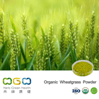 Organic Wheatgrass Powder