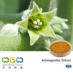 Ashwagandha Extract