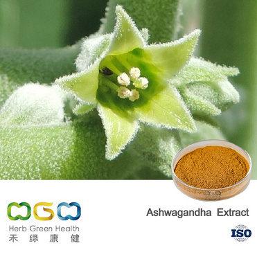 Ashwagandha Extract