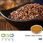 Radish Seed Extract