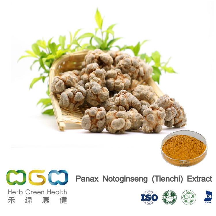 Panax Notoginseng (Tienchi) Extract