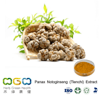 Panax Notoginseng (Tienchi) Extract