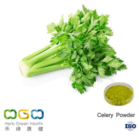 Celery Powder