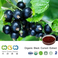 Organic Black Currant Extract