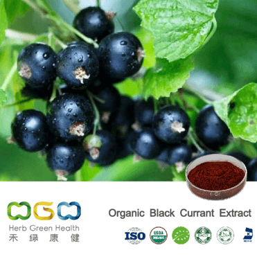 Organic Black Currant Extract