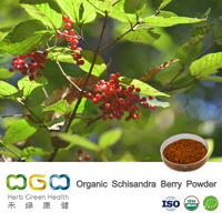 Organic Schisandra Berry Powder