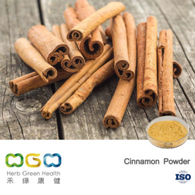 Cinnamon Powder