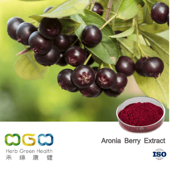 Aronia Berry Extract