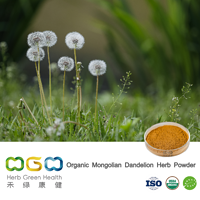 Organic Mongolian Dandelion Herb Powder