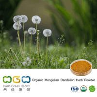 Organic Mongolian Dandelion Herb Powder