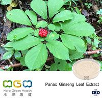 Panax Ginseng Leaf Extract