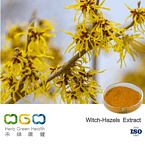 Witch-Hazels Extract