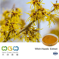 Witch-Hazels Extract