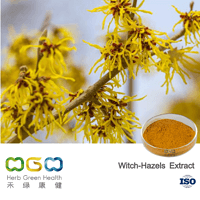 Witch-Hazels Extract