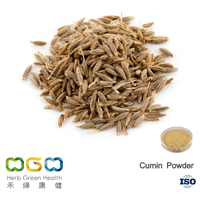 Cumin Powder