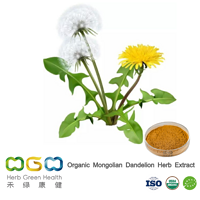 Organic Mongolian Dandelion Herb Extract