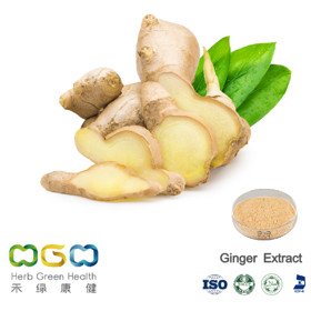 Ginger Extract