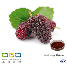 Mulberry Extract