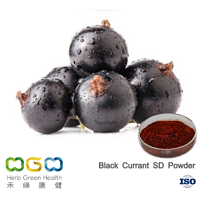 Black Currant SD Powder