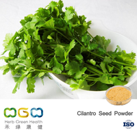 Cilantro Seed Powder
