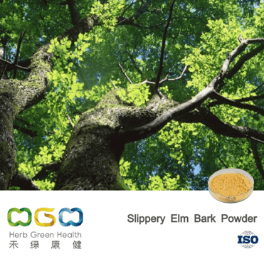 Slippery Elm Bark Powder