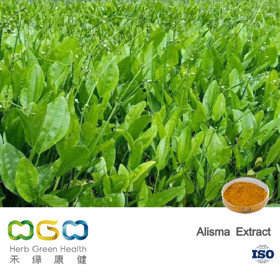 Alisma Extract