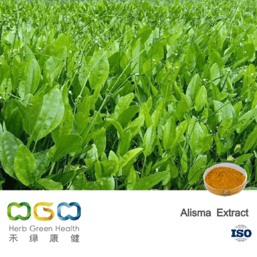 Alisma Extract